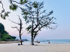-杨梅坑