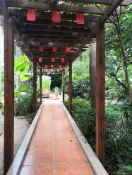 点击看大图 -宝生月子中心(独栋园林·福田店)