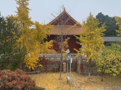 -云龙山
