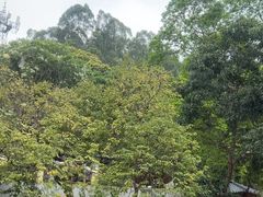 -火炉山森林公园