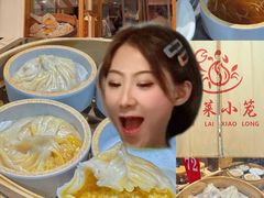 -莱莱小笼·乔艾