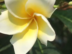 -祥源·阜阳生态乐园