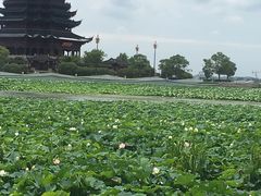 -重元寺香积厨素斋馆