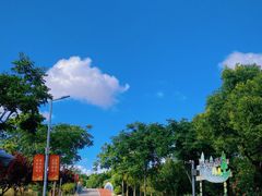 -上海长兴岛郊野公园