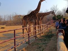 -济南野生动物世界