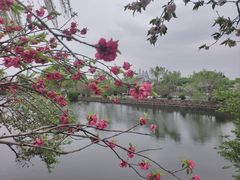 -无锡蠡湖国家湿地公园-蠡园