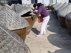 -苏州市吴中区光福窑上花果蜜饯厂