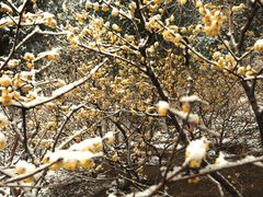 -香山公园-东宫门售票处