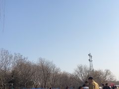 -大兴滨河森林公园