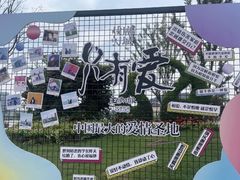-荷兰花海