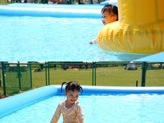 -春花秋色城市公园