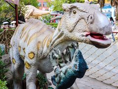 -海合安武汉极地海洋公园