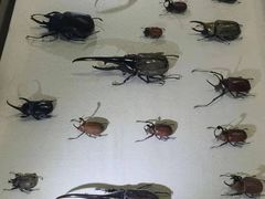 -燕莎友谊商城(亮马桥店)