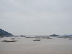 -北岐滩涂
