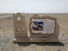 -哈密雅丹大海道景区