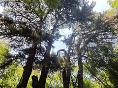 -北陵公园