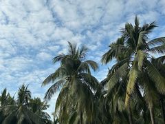 -三亚湾海居雅高铂尔曼度假酒店