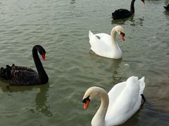 -艾溪湖湿地公园