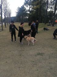 -舒然SPA生活馆连锁机构