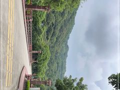 -风云岭森林公园