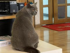 -壹人壹像工作室(购物公园店)