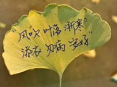 -炎钬堂亚健康管理(白银路店)