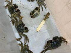-蟹状元大闸蟹·年货·粽子(成都成华店)