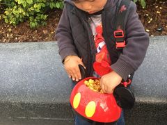 餐饮设施-上海迪士尼度假区