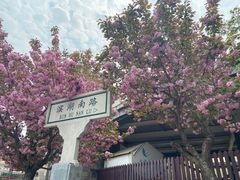 -石家庄市植物园