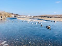 -沈阳鸟岛