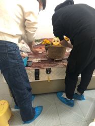 -小熊维尼高端儿童摄影(罗湖区总店)