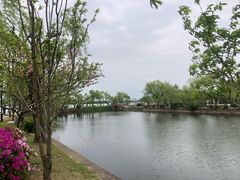 -无锡蠡湖国家湿地公园-蠡园