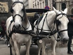 -斯蒂芬主教座堂(Stephansdom)