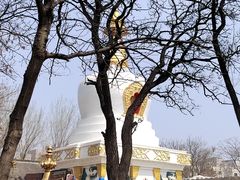 -护国法轮寺