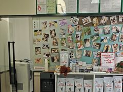 -爱妮康宠物医院·干细胞免疫细胞·肿瘤·心脏(张江店)