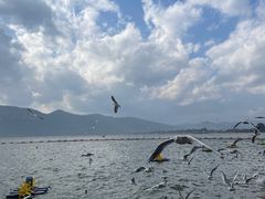 -滇池海埂公园