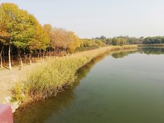 -大兴滨河森林公园