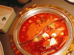 -熊喵来了火锅(四平万达第56分店)