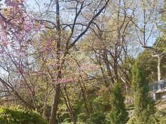 -北岭山森林公园