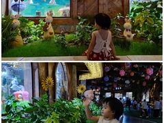 -郑州方特梦幻王国