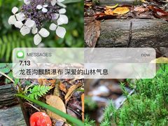 -龙苍沟森林公园