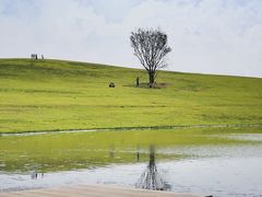 -巧克力渔家.小船海鲜家常菜(万平口店)