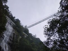 -九龙江国家森林公园