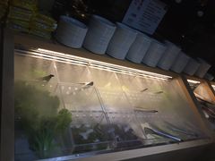 -火炉火自助餐(枫蓝国际店)