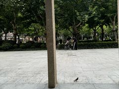 -徐家汇天主堂