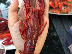 -二钳洞庭虾蟹·江湖菜(成都鹭岛店)