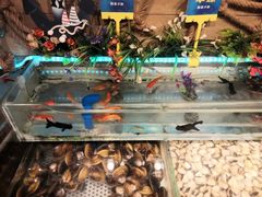 -蒙肥羊·酸汤潮牛·鲜牛肉火锅烤肉自助(岗顶店)
