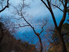 -鹫峰国家森林公园