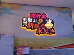 -新概念来凤鱼(璧山店)