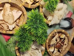 -菌彩云南野生菌火锅(万达广场店)